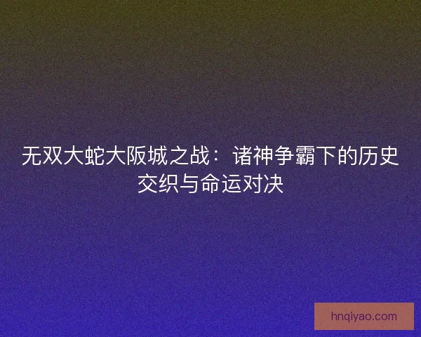 无双大蛇大阪城之战：诸神争霸下的历史交织与命运对决